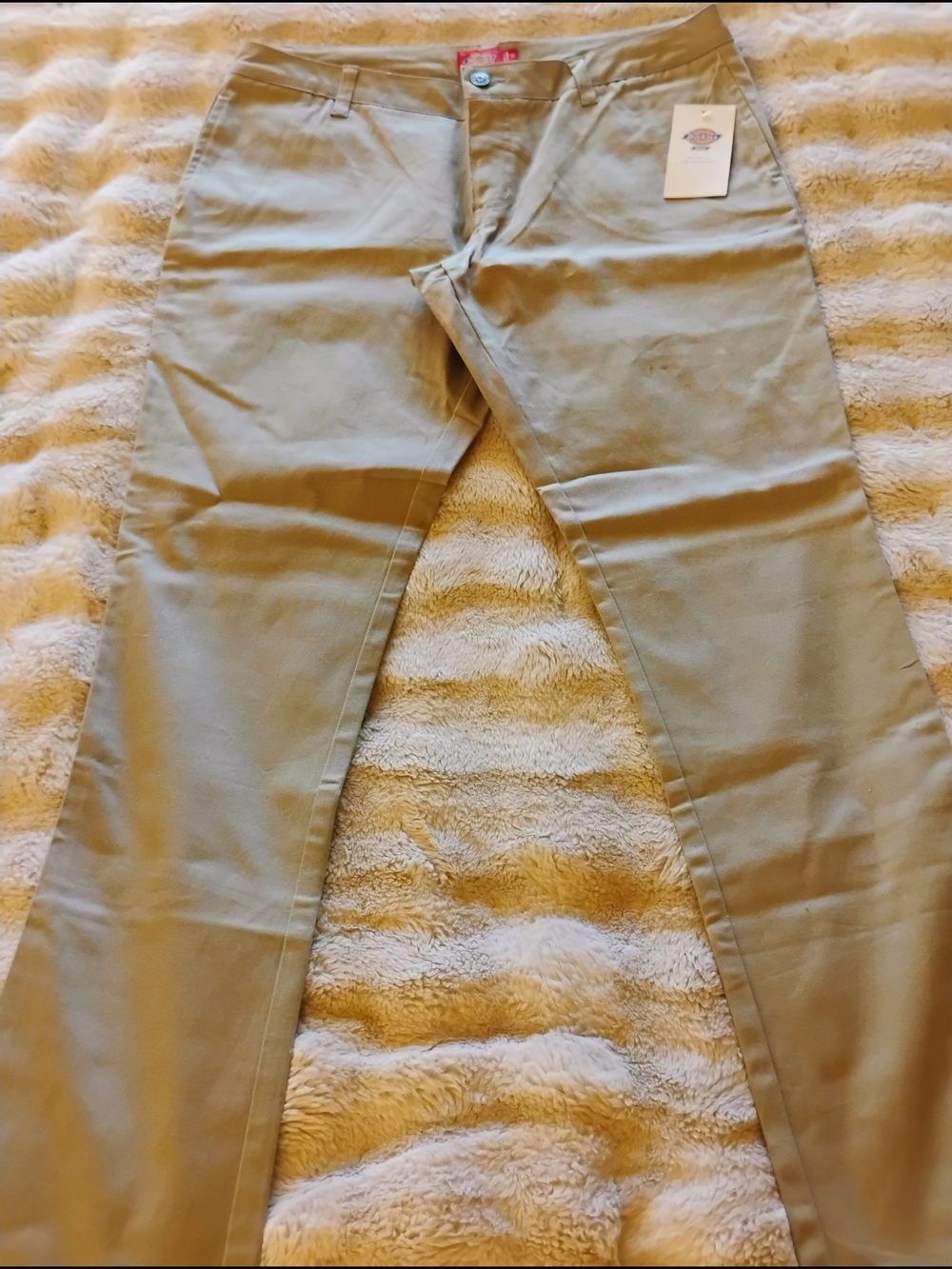 Dickies Straight Leg Pants in Khaki